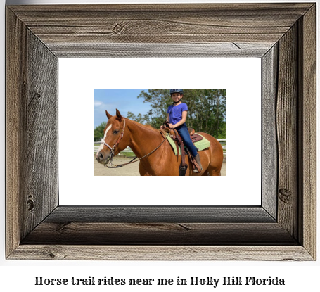 horse trail rides near me in Holly Hill, Florida